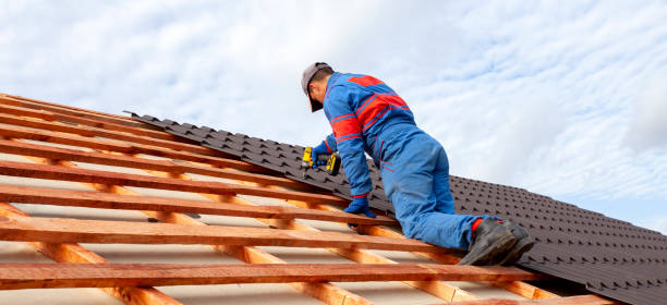 Best Roof Moss and Algae Removal  in Prudenville, MI